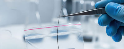 News Header -Vitamin D