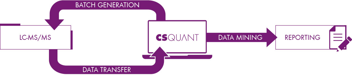 CSQuant Workflow