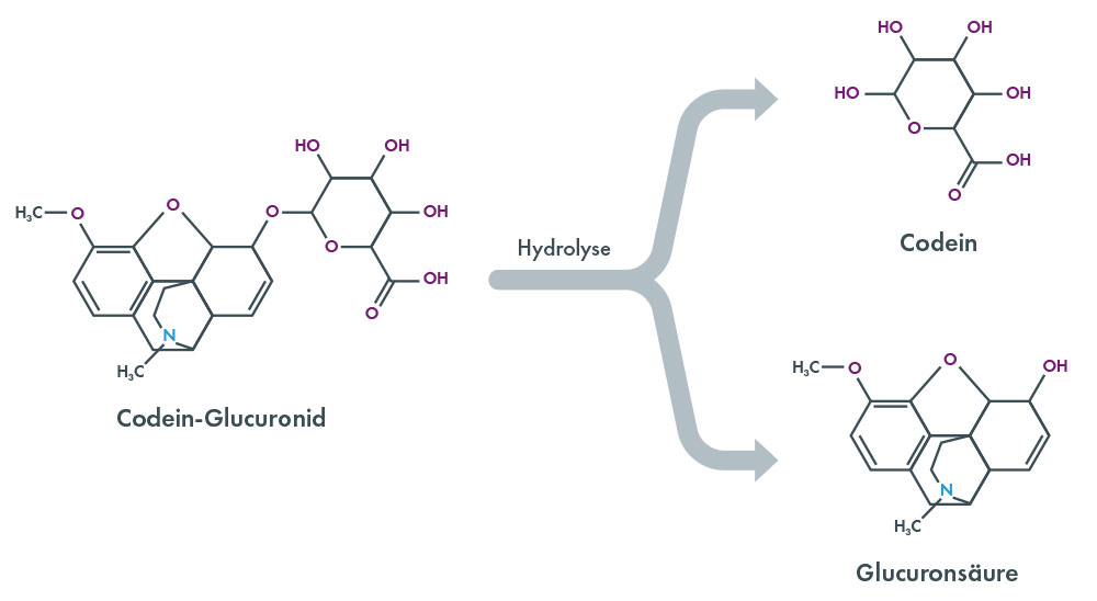 Drugs of Abuse - Hydrolysis