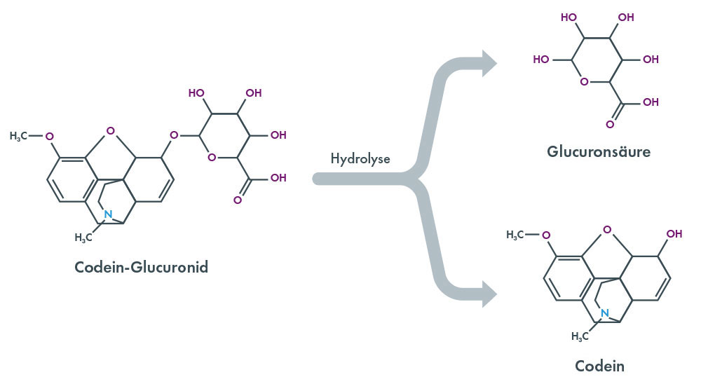 Drugs of Abuse - Hydrolysis