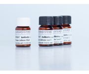 3PLUS1® Multilevel Plasma Calibrator Set Antibiotics