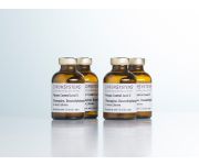 0147 0148 0149 HPLC olanzapine desmethylolanzapine plasma controls