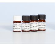 62029 3PLUS1 Calibrator 3-epi Vitamin D - LCMS