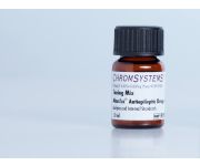 Tuning Mix Antiepileptic Drugs/EXTENDED 1