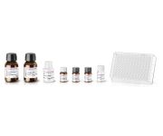 MassTox® Drugs of Abuse Testing in Urine - Basic Kit