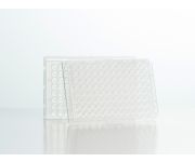 80058 LCMS Biogenic amines hydrolysis plate